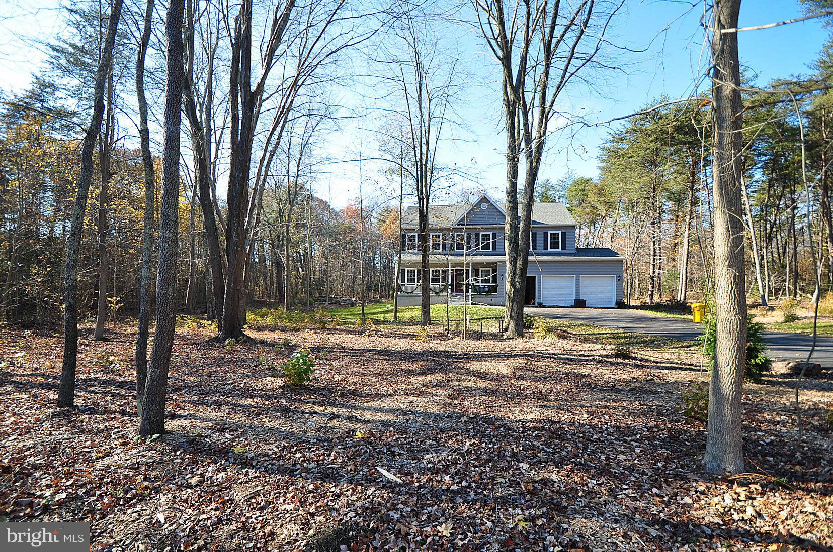 7720 Paradise Beach Road Pasadena, MD 21122 - Photo 4 of 23 Gorgeous wooded lot 3.75 Acres