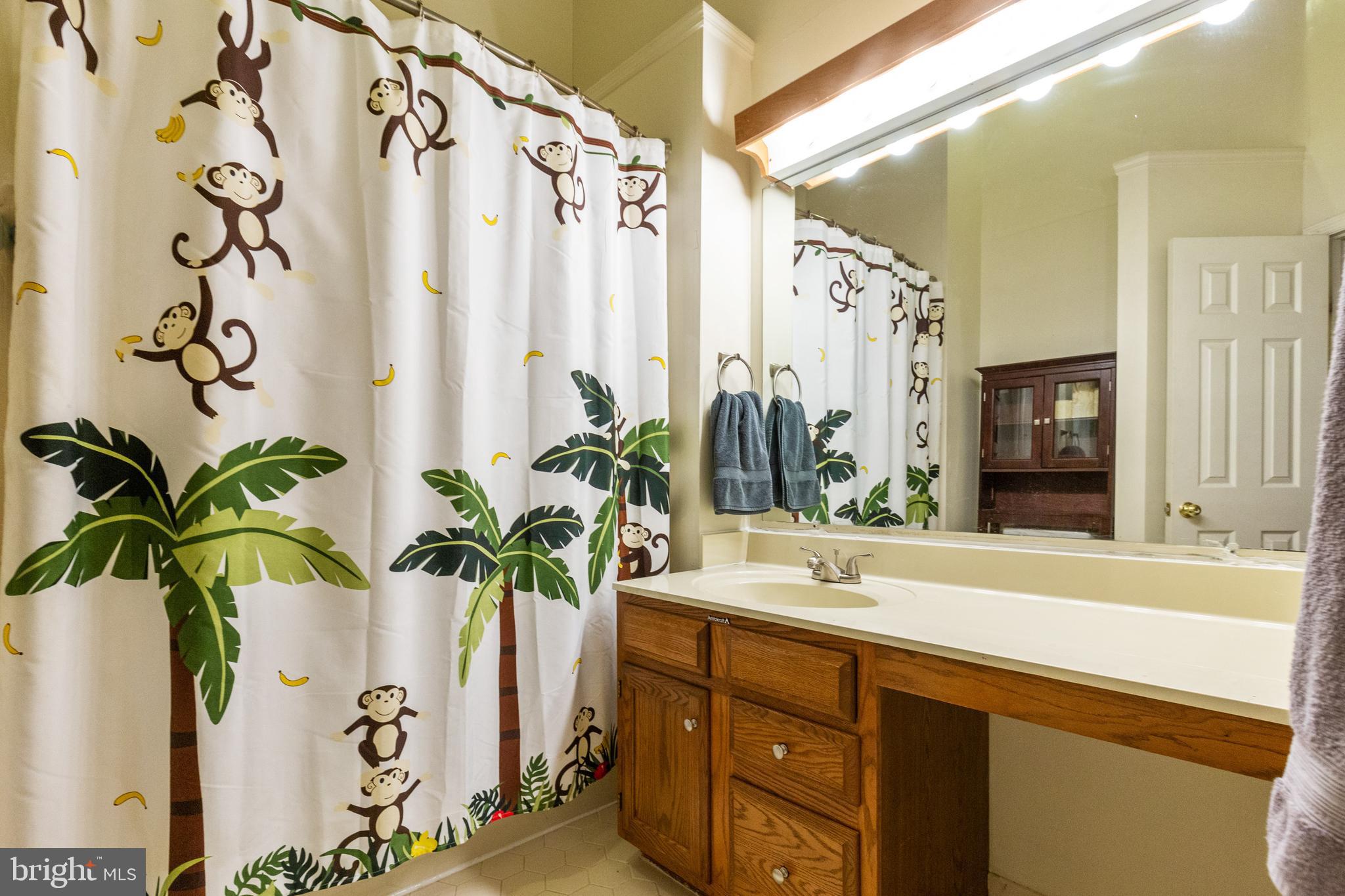 14075 Winding Ridge Lane Centreville, VA 20121 - Photo 30 of 47 Upper Hall Bath