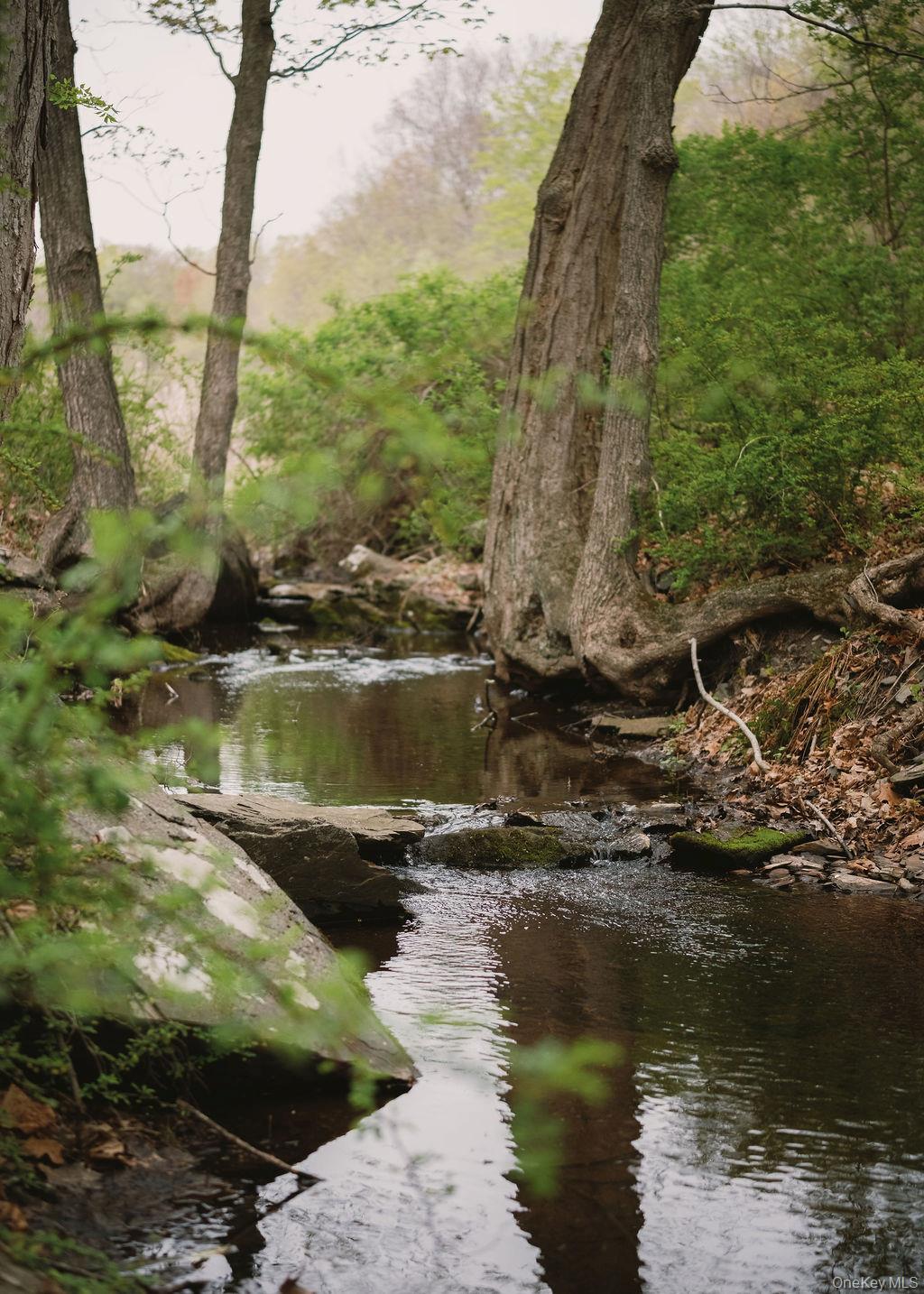92 Fiddlers Bridge Road Staatsburg, NY 12580 - Photo 29 of 32 Stream