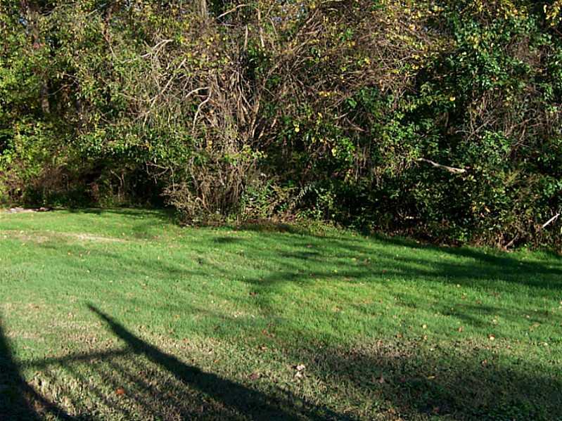 3 Temple Road Aliquippa, PA 15001 - Photo 21 of 22 Yard/Garden.