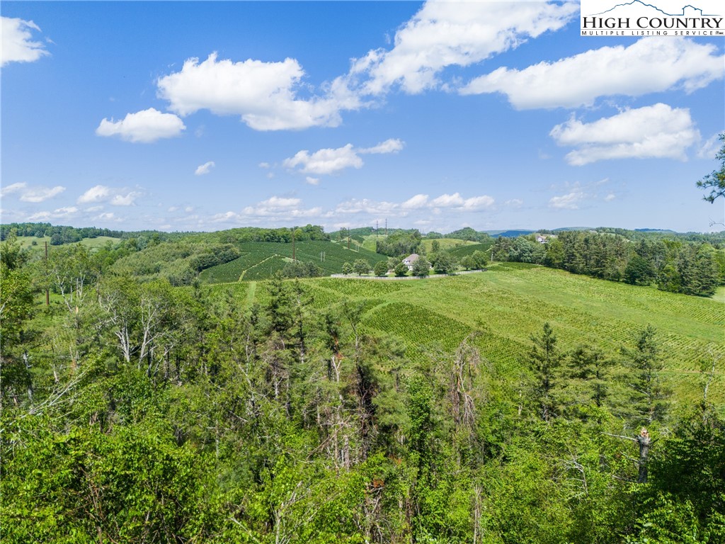 348 Laurelwood Lane Boone, NC 28607 - Photo 4 of 28