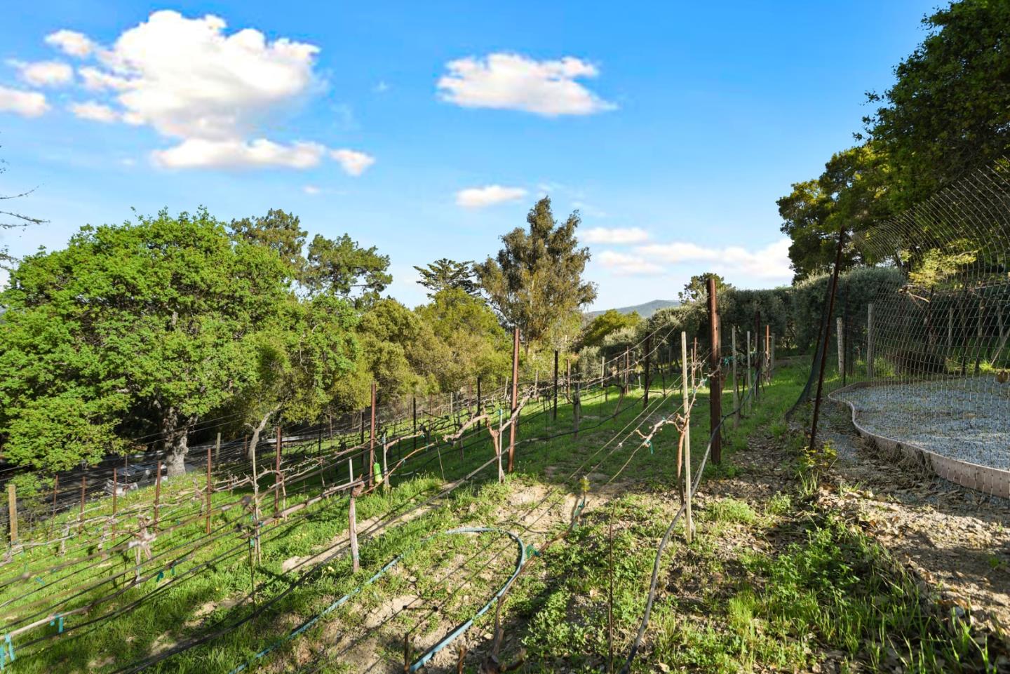 18782 Withey Road Monte Sereno, CA 95030 - Photo 33 of 39 a view of a garden