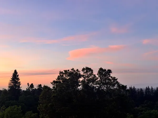 a view of a balcony with chairs and potted plants