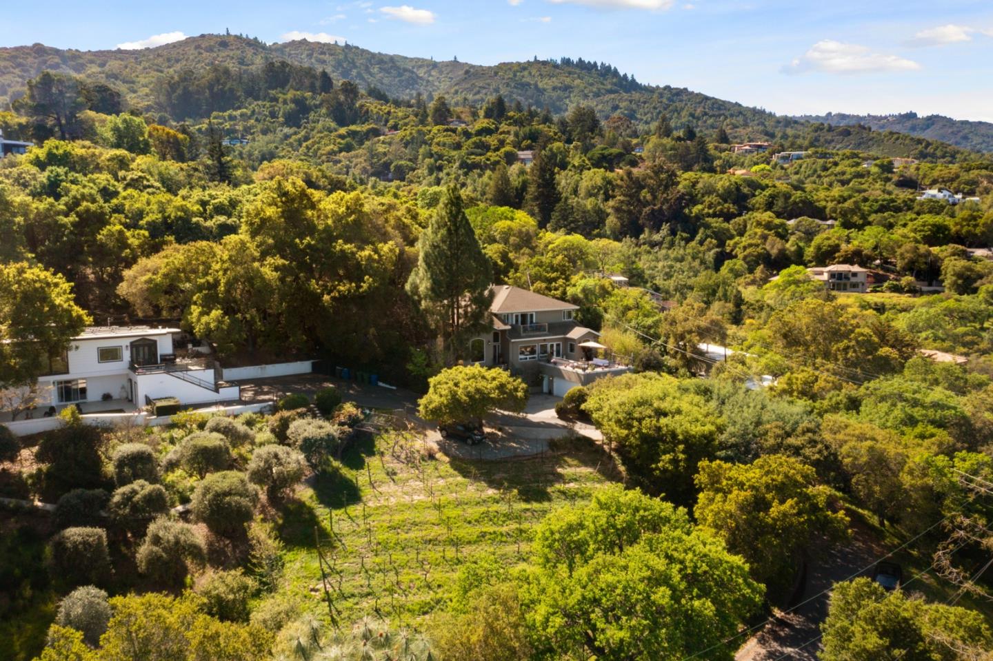 18782 Withey Road Monte Sereno, CA 95030 - Photo 5 of 39 a view of a forest with mountains in the background