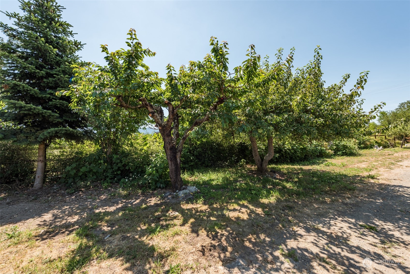 432 Matson Road Port Angeles, WA 98362 - Photo 21 of 40 Gallery Image 21