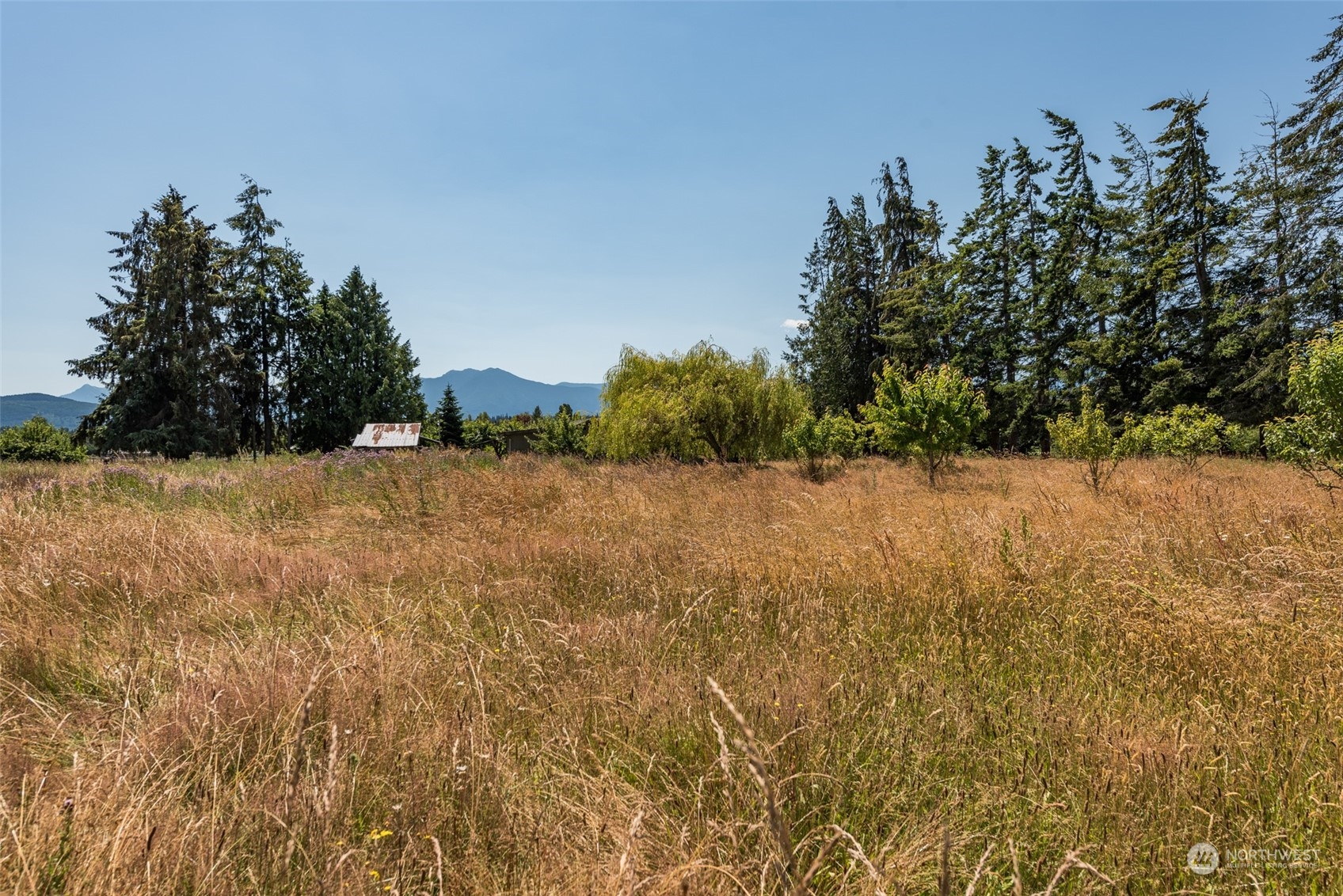 432 Matson Road Port Angeles, WA 98362 - Photo 37 of 40 Gallery Image 37