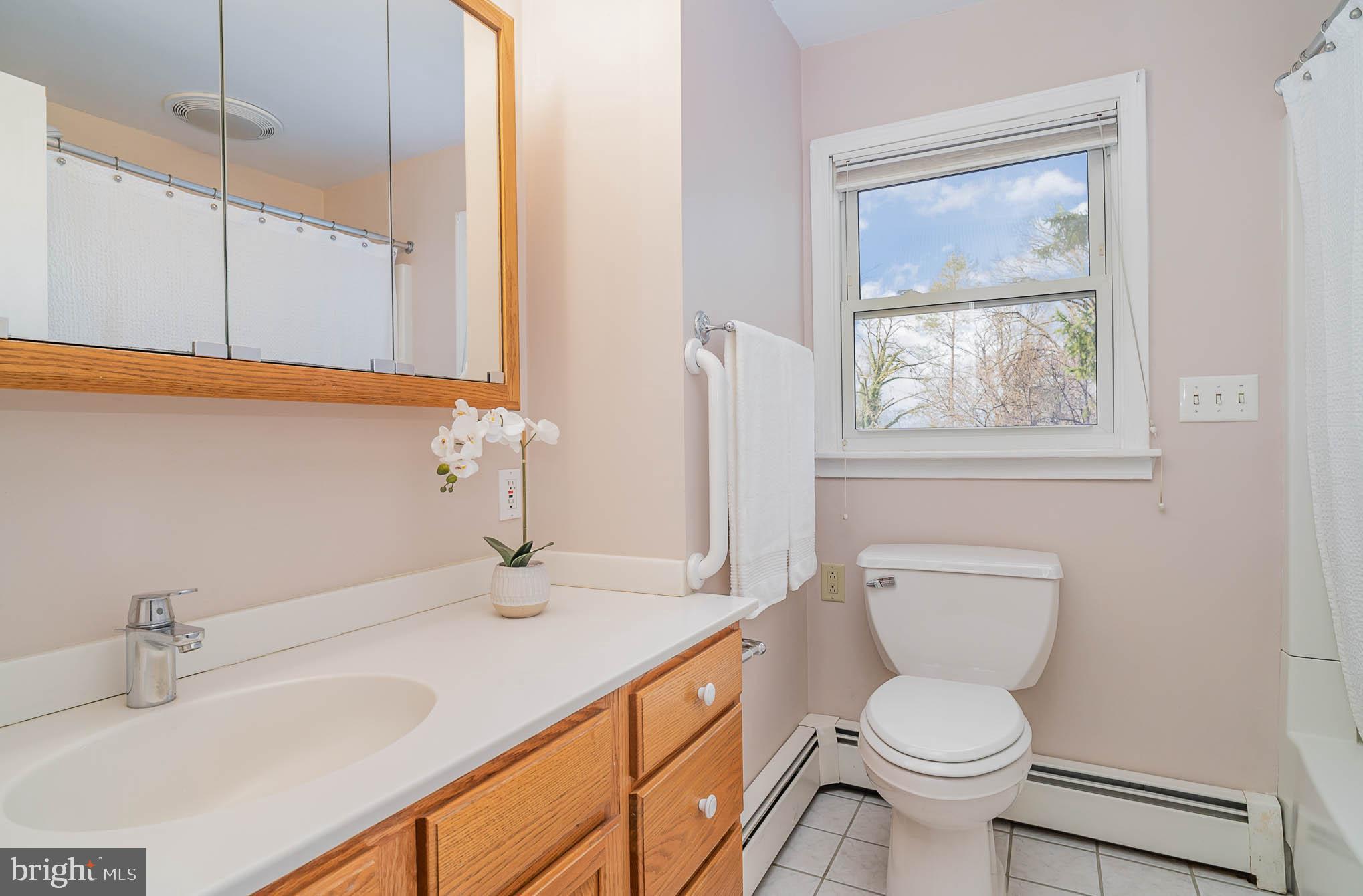 35 West 4th Avenue Lititz, PA 17543 - Photo 25 of 55 a bathroom with a sink a toilet and a mirror