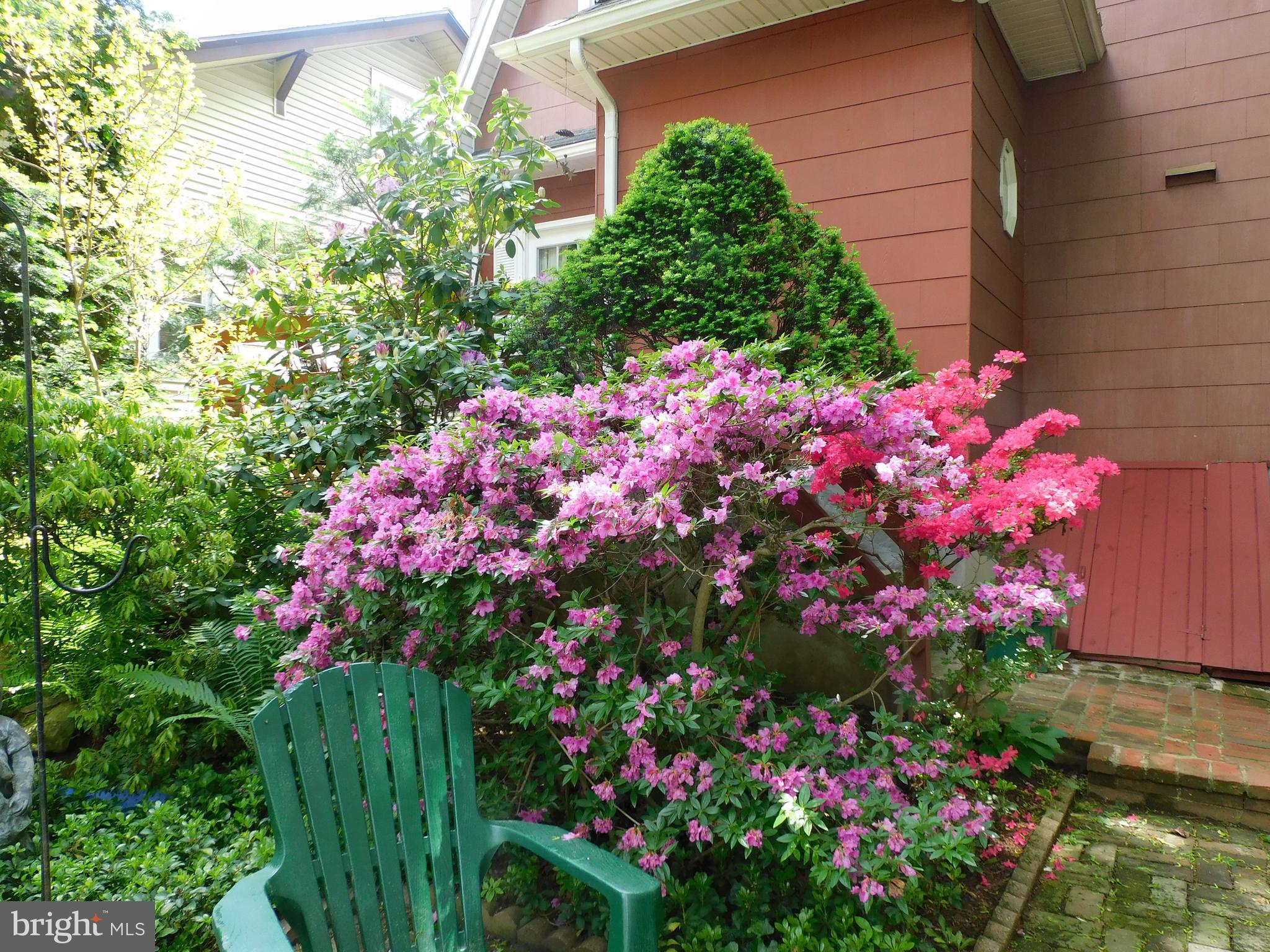 35 West 4th Avenue Lititz, PA 17543 - Photo 42 of 55 a view of a flower in a garden