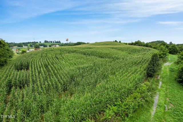 $495,000 | 0 Glenbrook Avenue, Meadowview, VA 24361