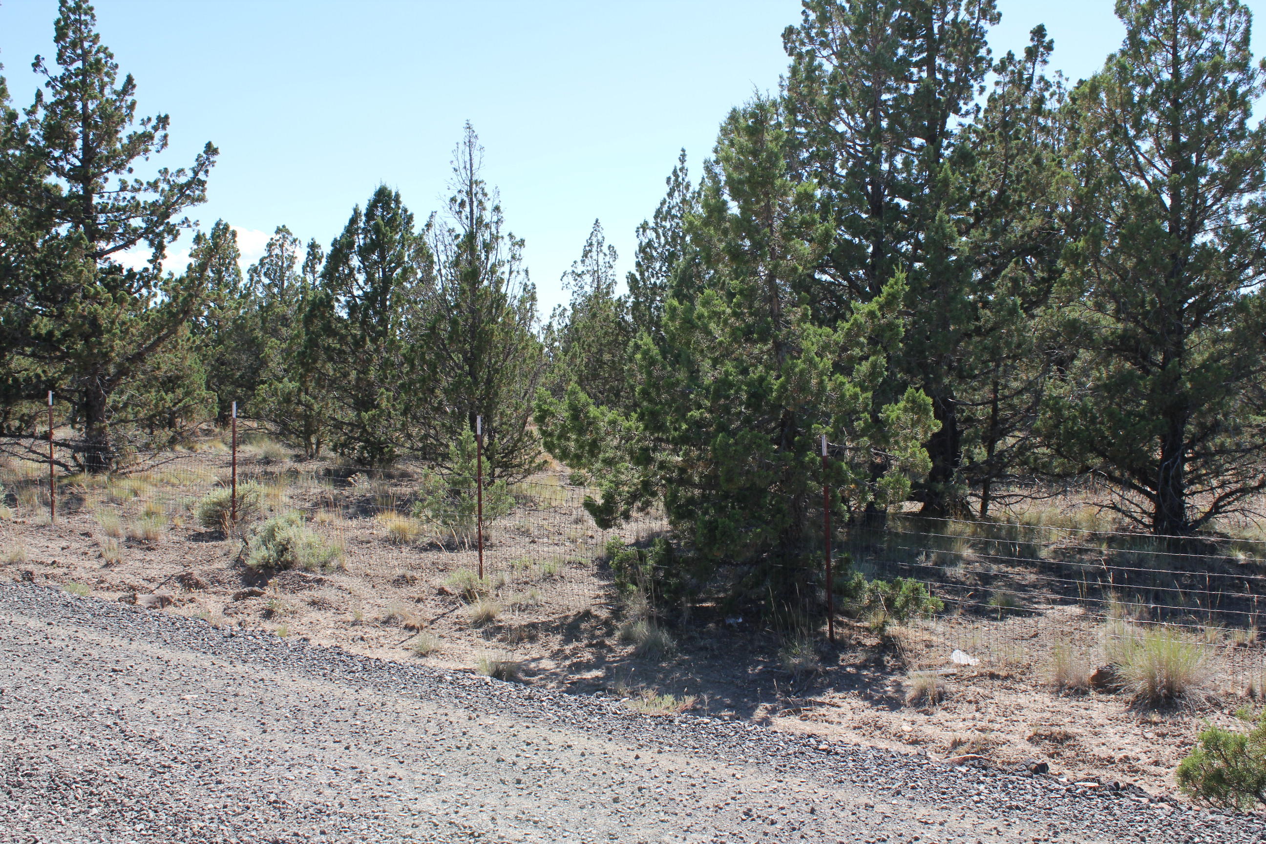 0 Southeast Wasco Road Prineville, OR 97754 - Photo 2 of 6 IMG_7147