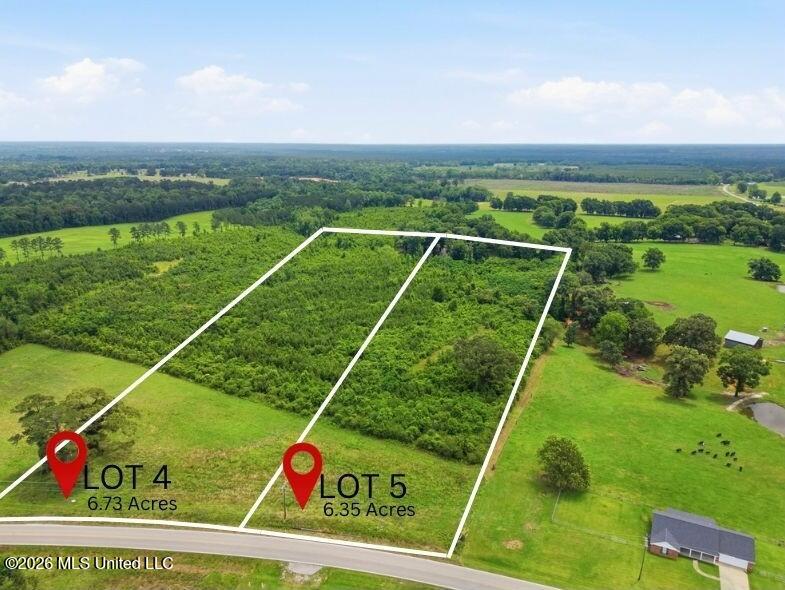0 Ms Highway Ovett, MS 39464 - Photo 3 of 10 Lot 4 & 5