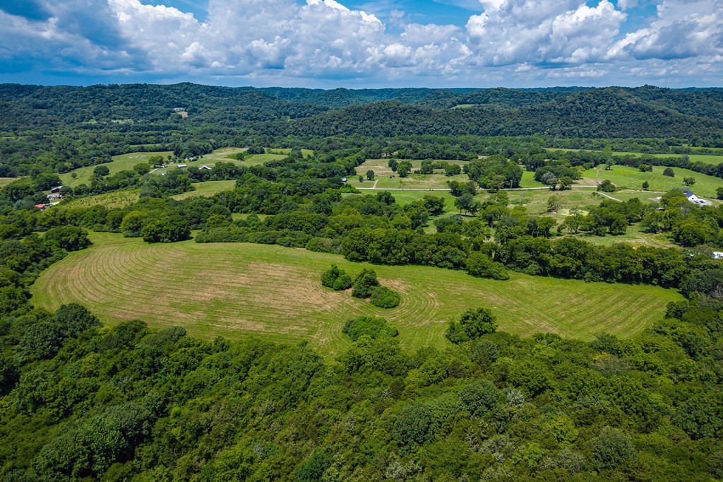 0 Free State Road Gainesboro, TN 38562 - Photo 11 of 31 Gallery Image 11