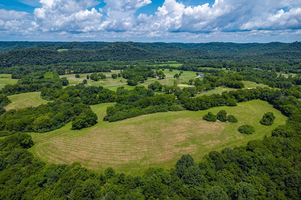 0 Free State Road Gainesboro, TN 38562 - Photo 12 of 31 Gallery Image 12