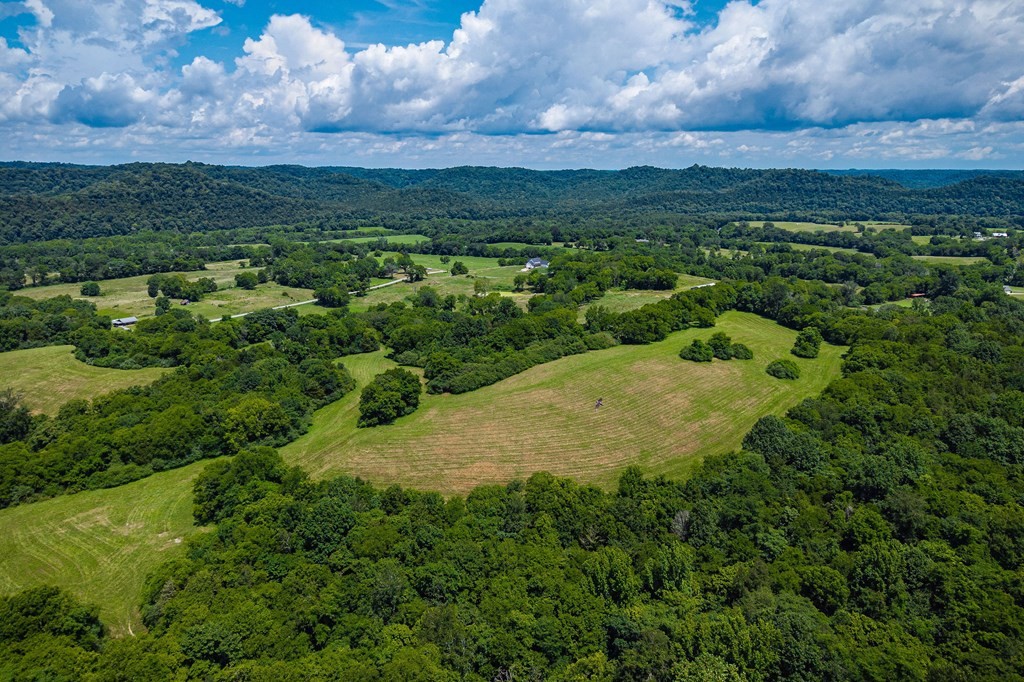 0 Free State Road Gainesboro, TN 38562 - Photo 13 of 31 Gallery Image 13