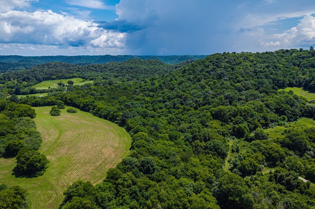 0 Free State Road Gainesboro, TN 38562 - Photo 14 of 31 Gallery Image 14