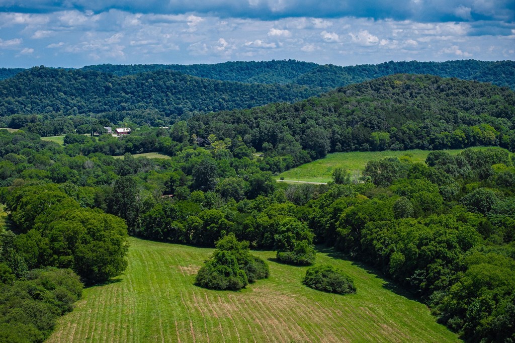 0 Free State Road Gainesboro, TN 38562 - Photo 15 of 31 Gallery Image 15