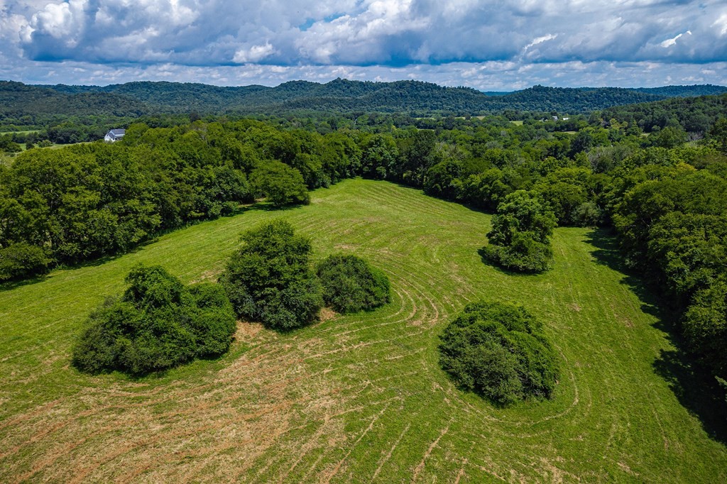 0 Free State Road Gainesboro, TN 38562 - Photo 16 of 31 Gallery Image 16