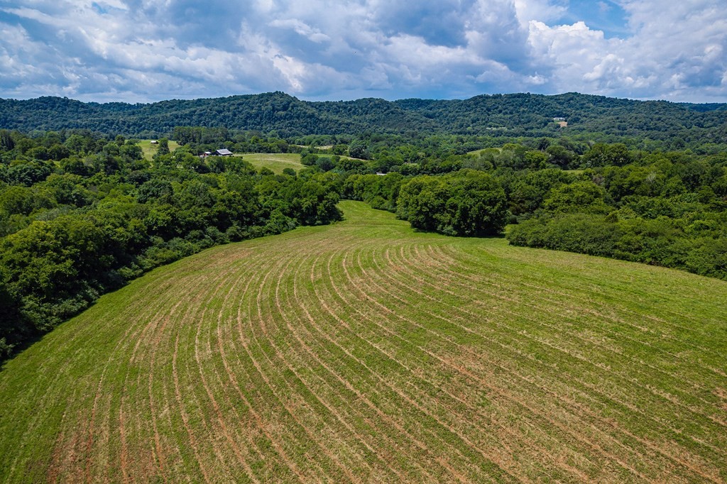 0 Free State Road Gainesboro, TN 38562 - Photo 17 of 31 Gallery Image 17
