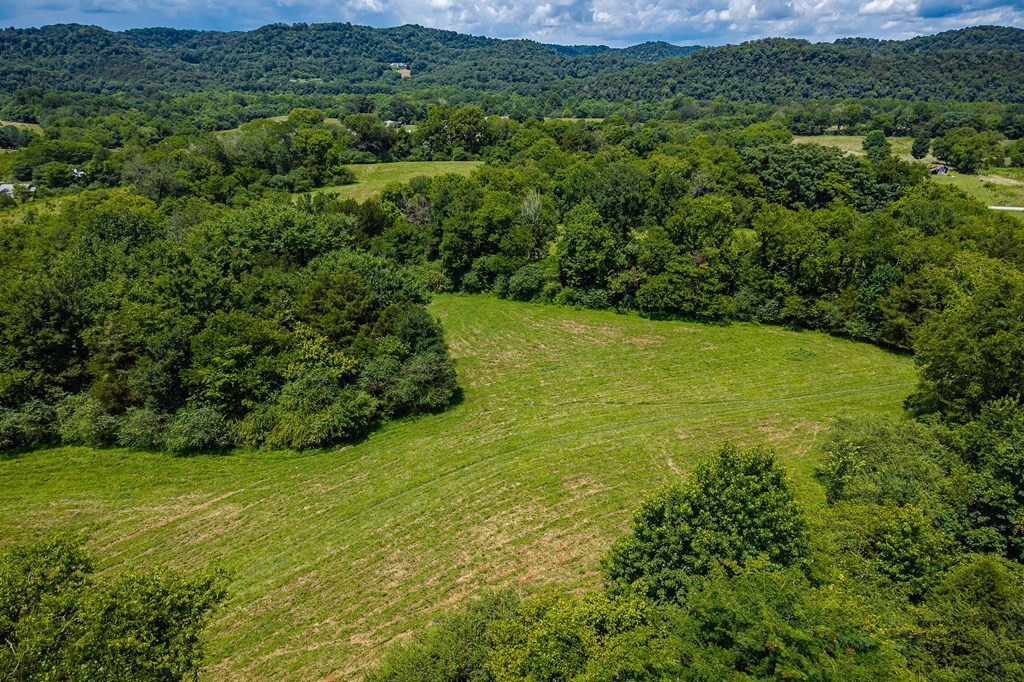 0 Free State Road Gainesboro, TN 38562 - Photo 18 of 31 Gallery Image 18