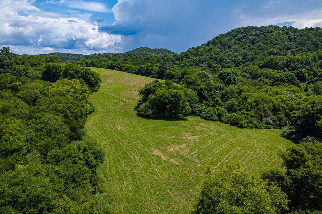 0 Free State Road Gainesboro, TN 38562 - Photo 19 of 31 Gallery Image 19
