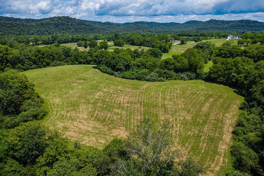 0 Free State Road Gainesboro, TN 38562 - Photo 20 of 31 Gallery Image 20