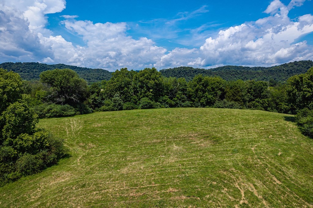 0 Free State Road Gainesboro, TN 38562 - Photo 21 of 31 Gallery Image 21