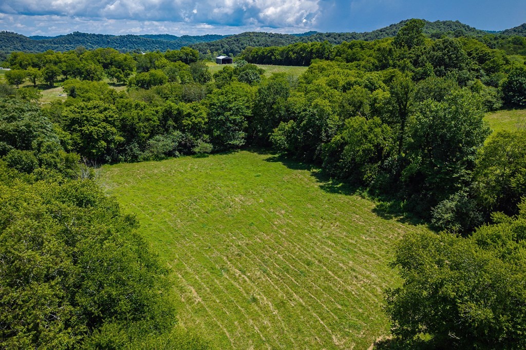 0 Free State Road Gainesboro, TN 38562 - Photo 22 of 31 Gallery Image 22
