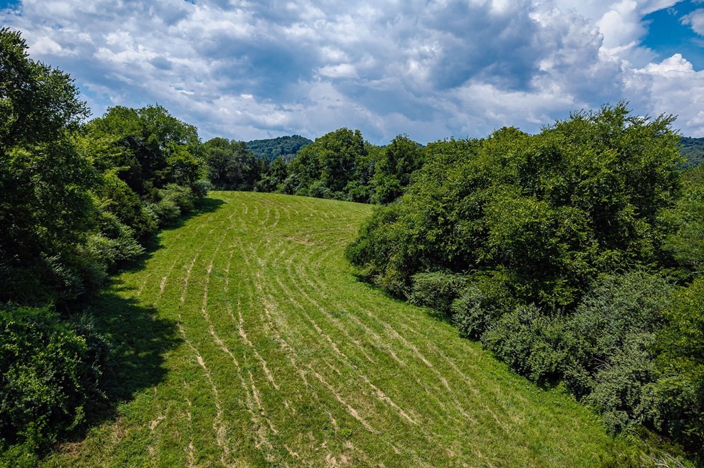 0 Free State Road Gainesboro, TN 38562 - Photo 23 of 31 Gallery Image 23