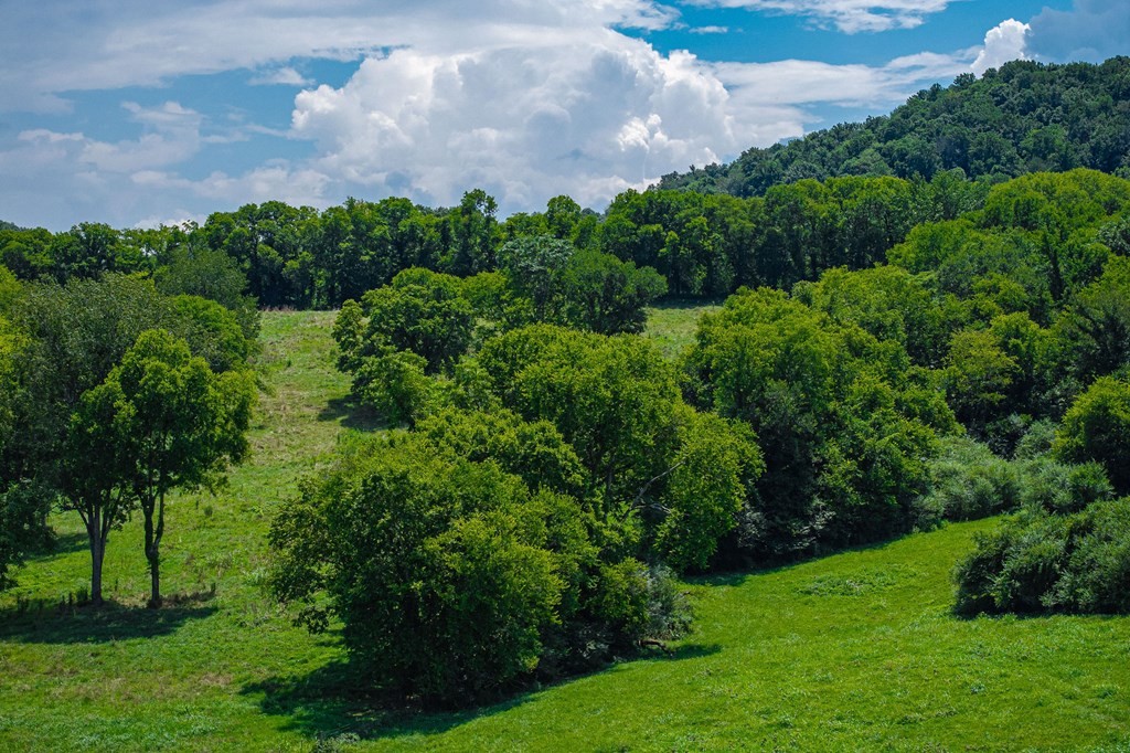 0 Free State Road Gainesboro, TN 38562 - Photo 26 of 31 Gallery Image 26