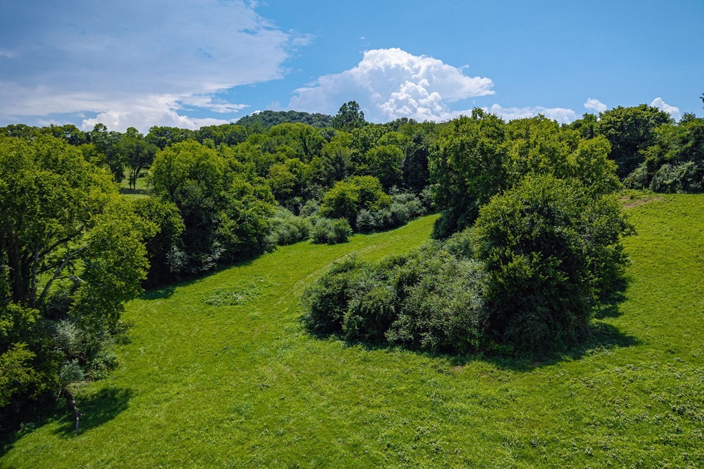 0 Free State Road Gainesboro, TN 38562 - Photo 27 of 31 Gallery Image 27