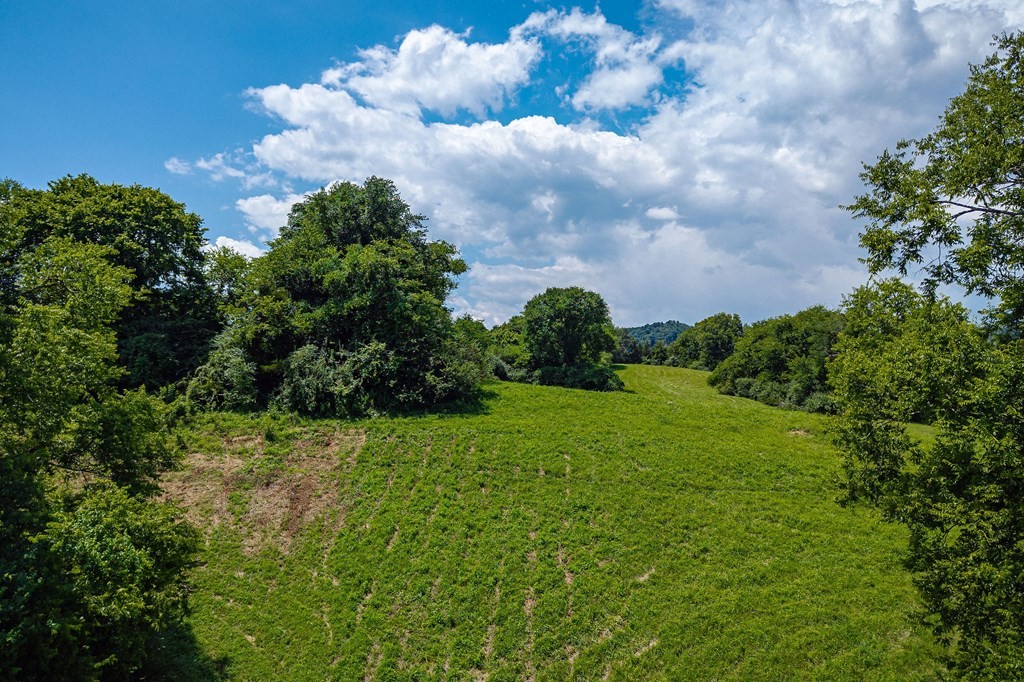 0 Free State Road Gainesboro, TN 38562 - Photo 28 of 31 Gallery Image 28
