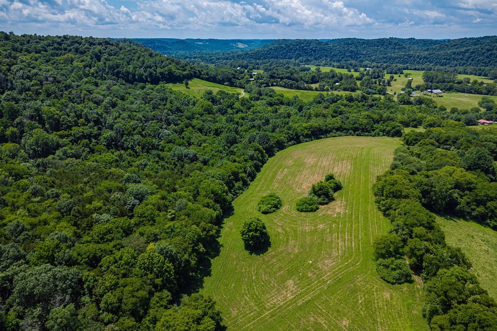 0 Free State Road Gainesboro, TN 38562 - Photo 9 of 31 Gallery Image 9