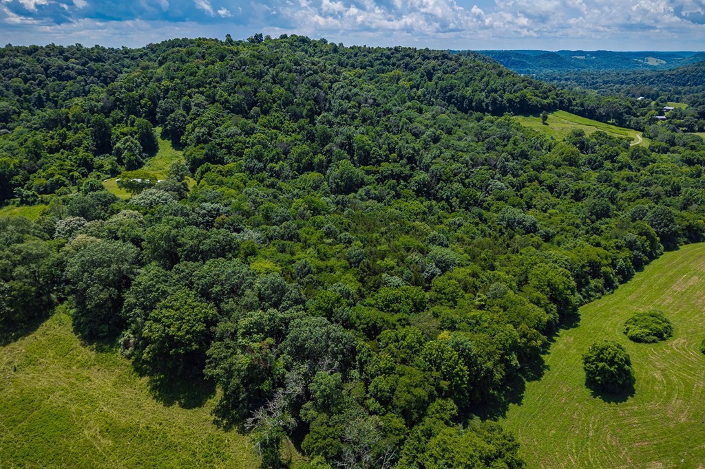 0 Free State Road Gainesboro, TN 38562 - Photo 10 of 31 Gallery Image 10