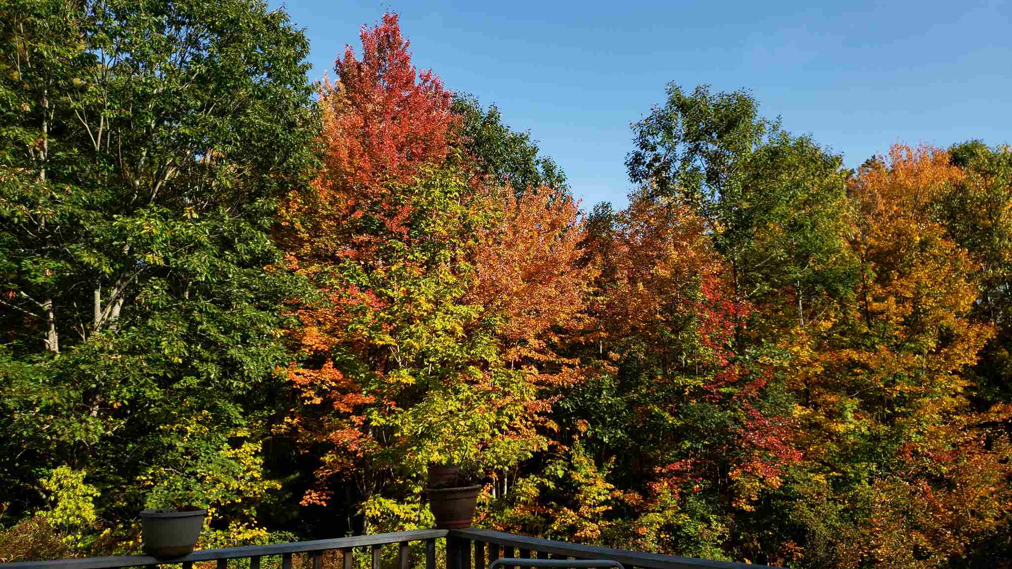 116 Province Road Barrington, NH 03825 - Photo 32 of 32