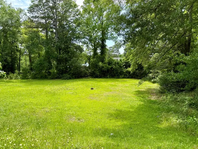 a view of outdoor space and yard