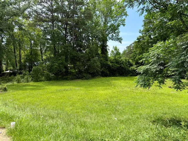 a view of yard with green space
