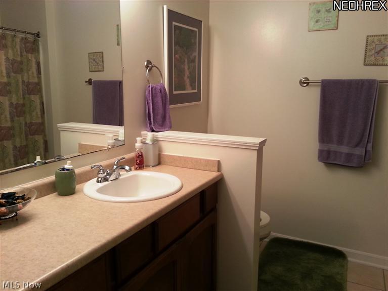 32232 Chestnut Ridge Road North Ridgeville, OH 44039 - Photo 9 of 15 Gallery Image 9