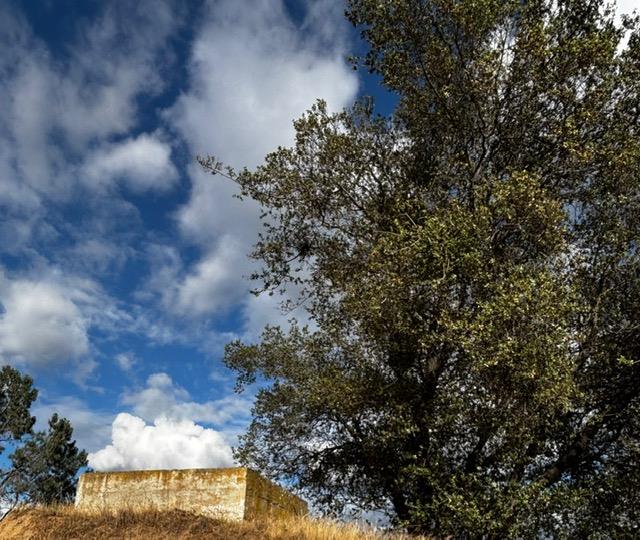 4 Powder Horn Way Coarsegold, CA 93614 - Photo 15 of 23