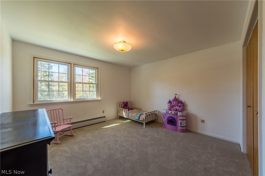 11303 County Line Road Chesterland, OH 44026 - Photo 15 of 20 Gallery Image 15