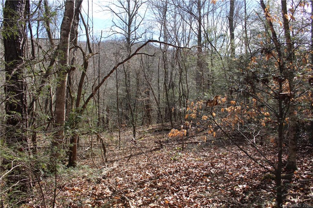 0 Bear Farm Road Candler, NC 28715 - Photo 1 of 24 Gallery Image 1