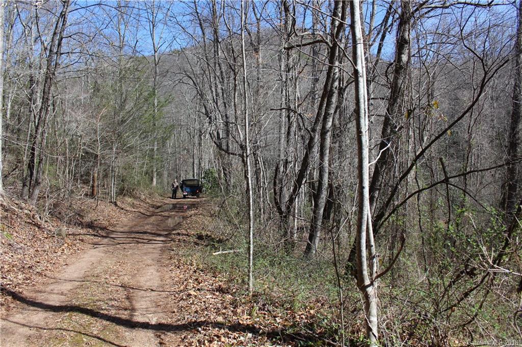 0 Bear Farm Road Candler, NC 28715 - Photo 2 of 24 Gallery Image 2