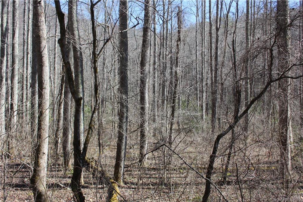 0 Bear Farm Road Candler, NC 28715 - Photo 11 of 24 Gallery Image 11