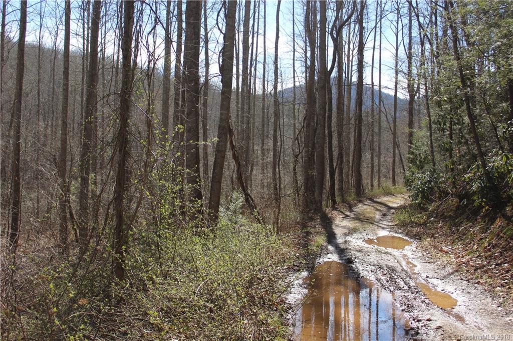 0 Bear Farm Road Candler, NC 28715 - Photo 12 of 24 Gallery Image 12