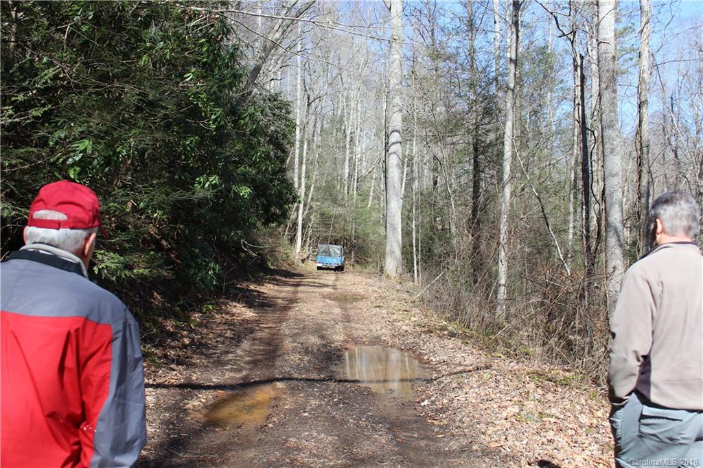 0 Bear Farm Road Candler, NC 28715 - Photo 13 of 24 Gallery Image 13