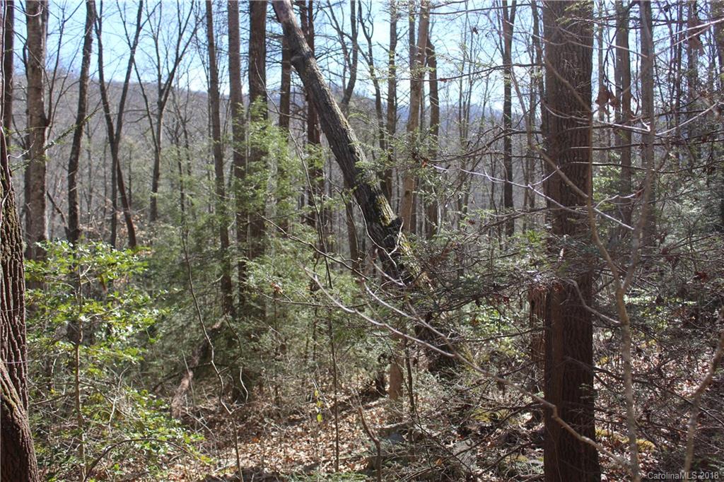 0 Bear Farm Road Candler, NC 28715 - Photo 14 of 24 Gallery Image 14