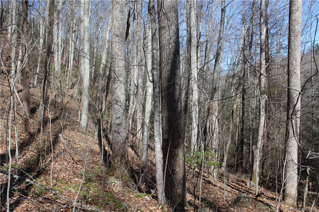 0 Bear Farm Road Candler, NC 28715 - Photo 15 of 24 Gallery Image 15
