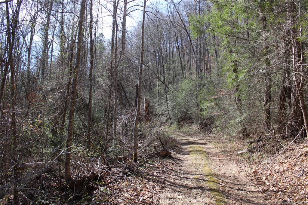 0 Bear Farm Road Candler, NC 28715 - Photo 16 of 24 Gallery Image 16