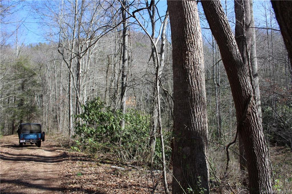 0 Bear Farm Road Candler, NC 28715 - Photo 17 of 24 Gallery Image 17