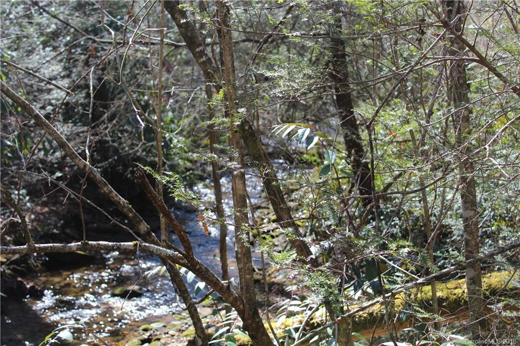 0 Bear Farm Road Candler, NC 28715 - Photo 18 of 24 Gallery Image 18