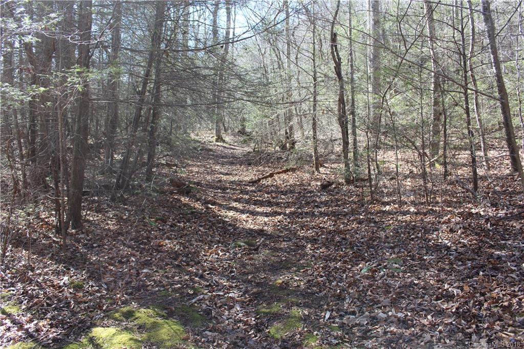 0 Bear Farm Road Candler, NC 28715 - Photo 20 of 24 Gallery Image 20
